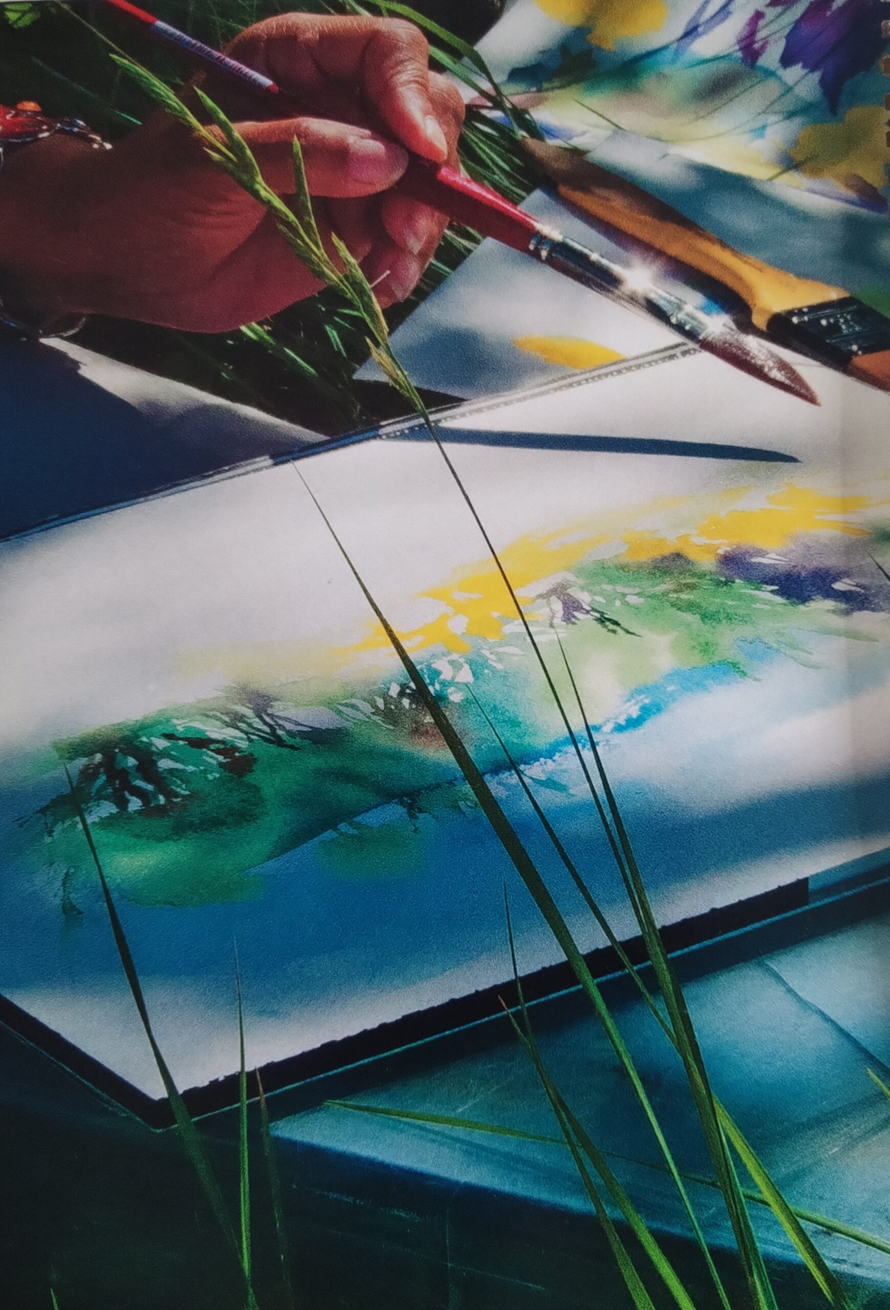 ©sylvie koch aquarelle